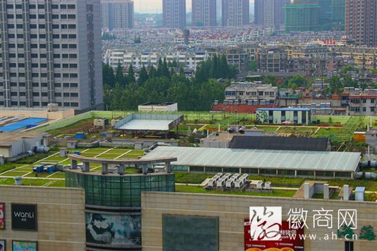 空中<a href='display.asp?id=11638' target='_blank'>农场</a>