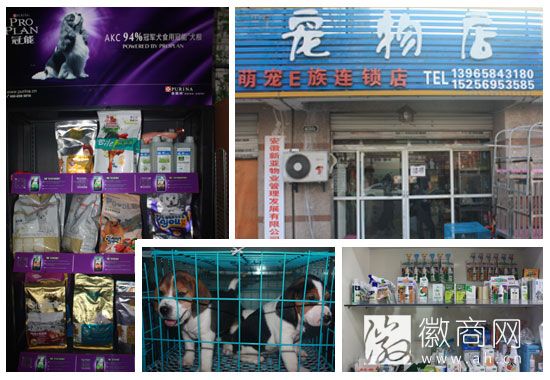 合肥萌宠E族凌冲