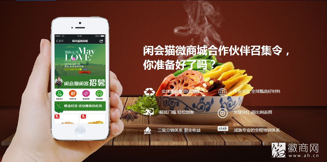 闲会猫