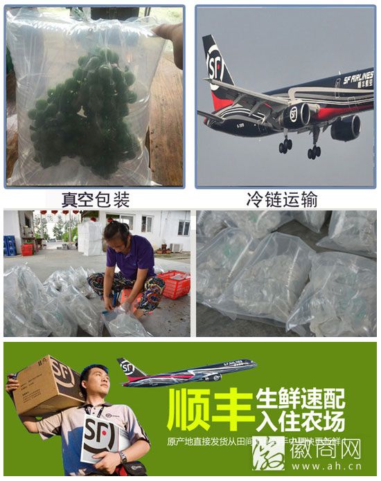 大圩特色<a href='display.asp?id=11790' target='_blank'>农业</a>巡礼