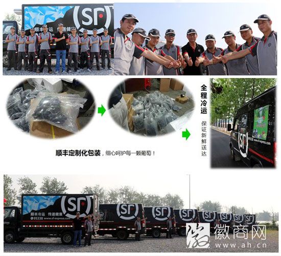 大圩特色<a href='display.asp?id=11790' target='_blank'>农业</a>巡礼
